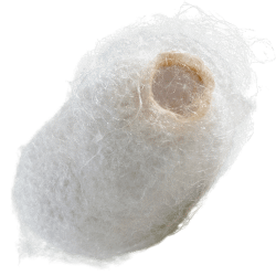 Silk